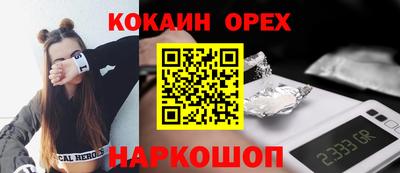 крисы Сланцы