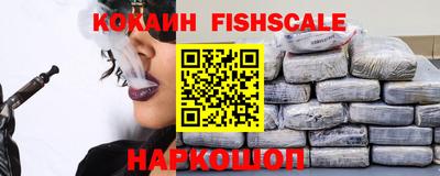 крисы Сланцы