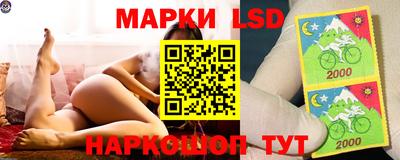 крисы Сланцы