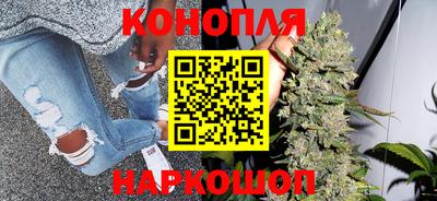 крисы Сланцы