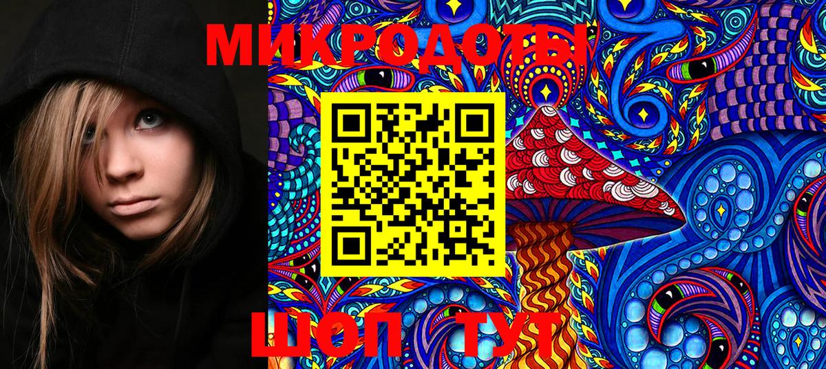 Галлюциногенные грибы Magic Shrooms  Вход с VPN  Новодвинск  Галлюциногенные грибы ЛСД 