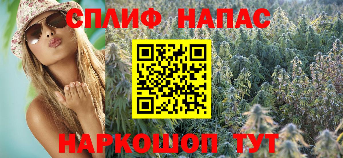 МАРИХУАНА семена Новодвинск